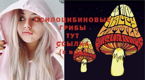ГАЛЛЮЦИНОГЕННЫЕ ГРИБЫ Богородицк