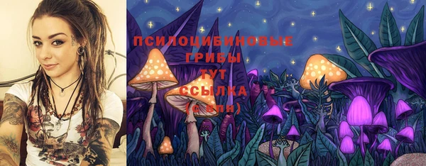 ГАЛЛЮЦИНОГЕННЫЕ ГРИБЫ Богородицк