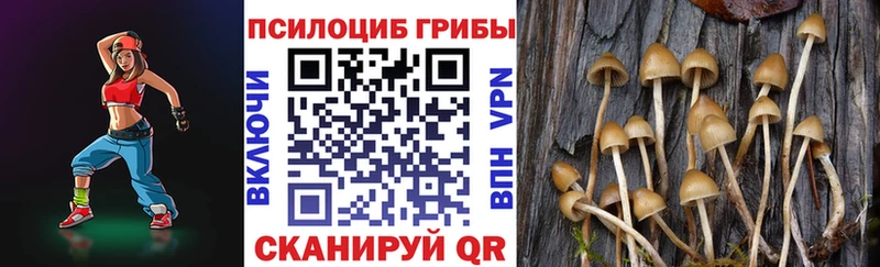 Псилоцибиновые грибы прущие грибы  Михайлов 